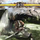 Illustration for article titled Scenes From Samurai Shodown Sen
